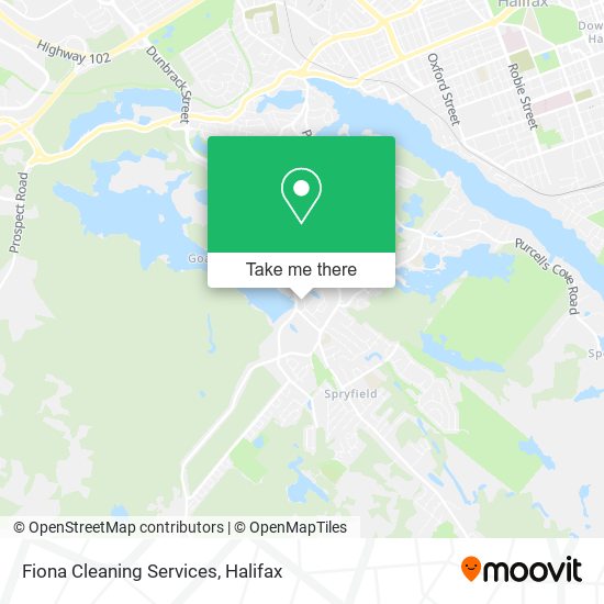 Fiona Cleaning Services plan