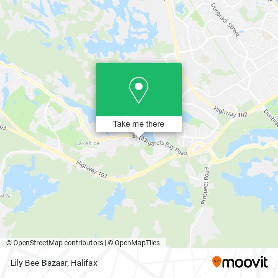 Lily Bee Bazaar plan