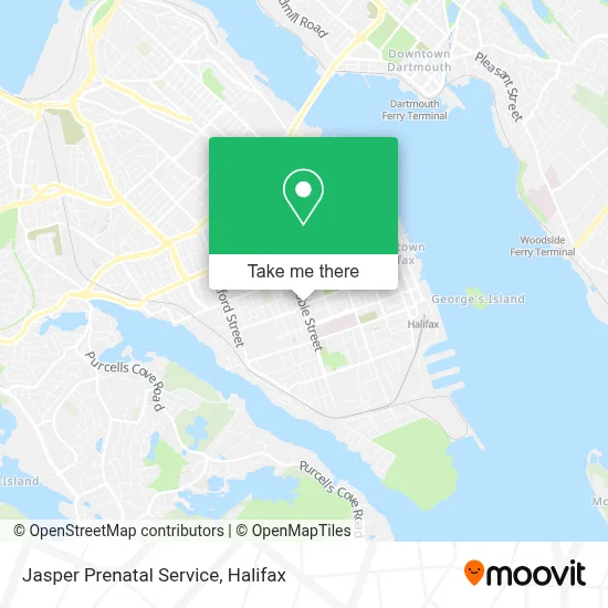 Jasper Prenatal Service map