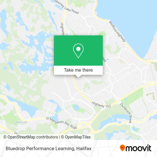 Bluedrop Performance Learning map