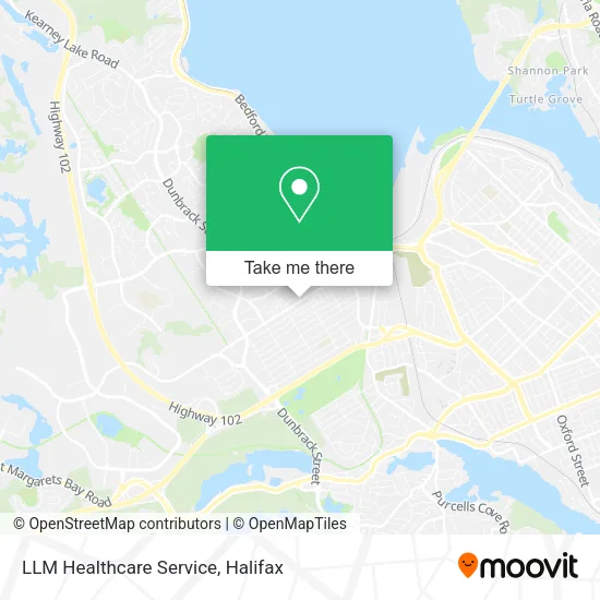 LLM Healthcare Service map