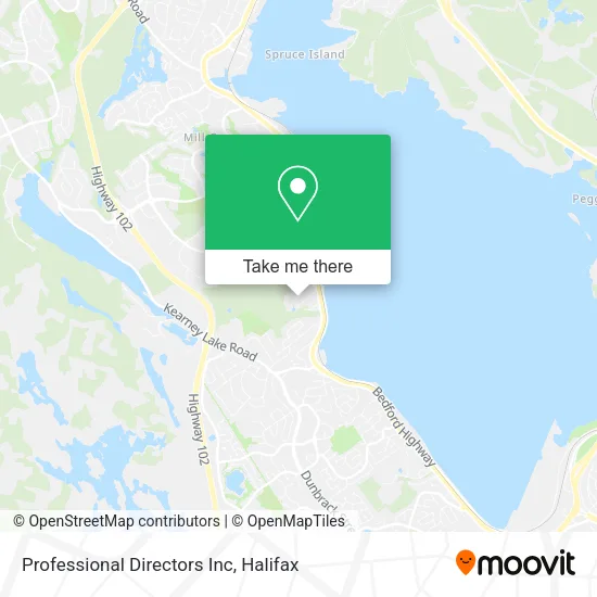 Professional Directors Inc map