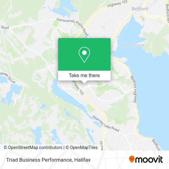 Triad Business Performance map