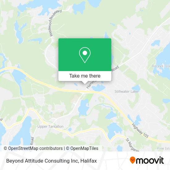 Beyond Attitude Consulting Inc map