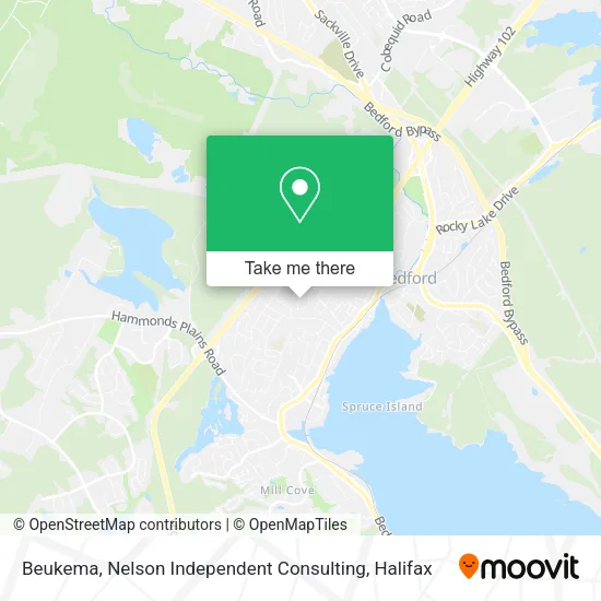 Beukema, Nelson Independent Consulting map