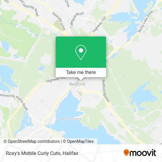 Roxy's Mobile Curly Cuts map