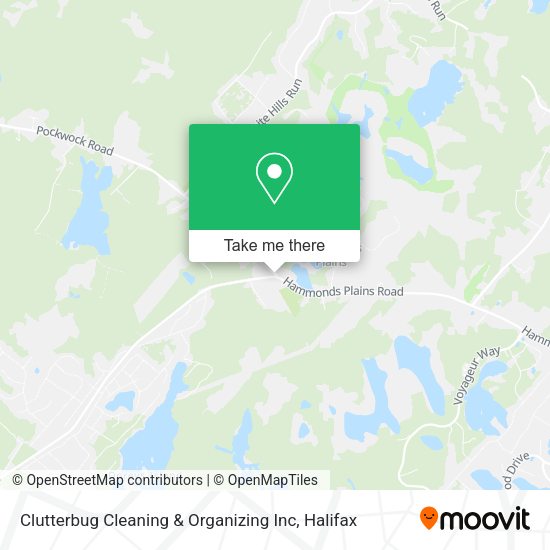 Clutterbug Cleaning & Organizing Inc map