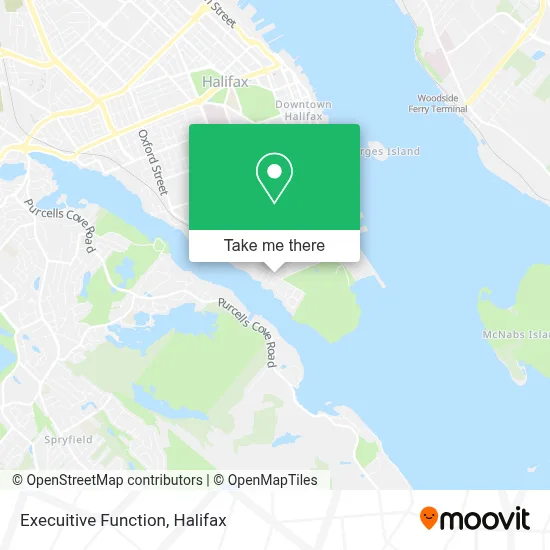 Execuitive Function map