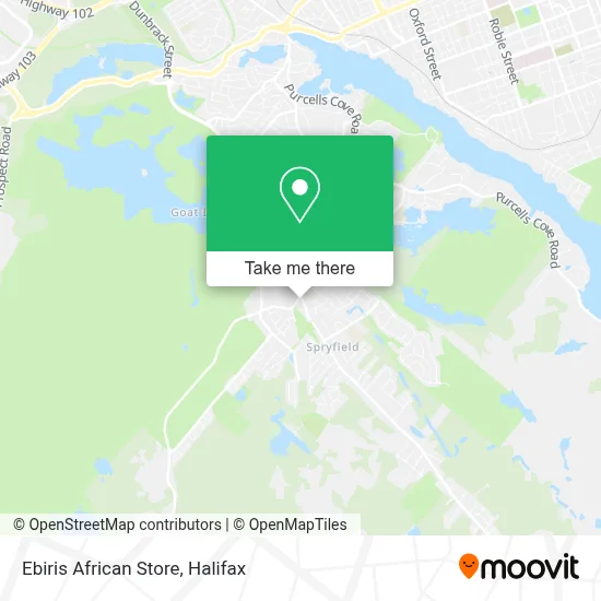Ebiris African Store map