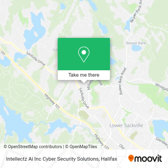 Intellectz Ai Inc Cyber Security Solutions map