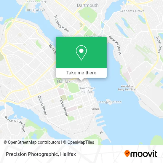 Precision Photographic map