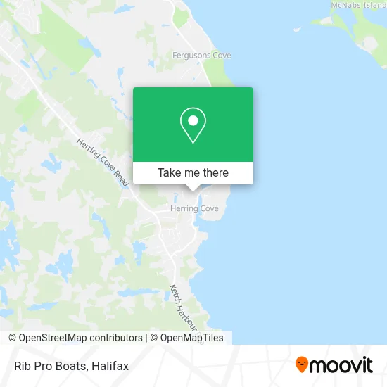 Rib Pro Boats plan
