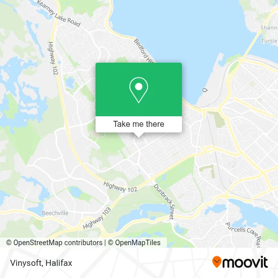 Vinysoft map