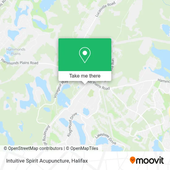 Intuitive Spirit Acupuncture map