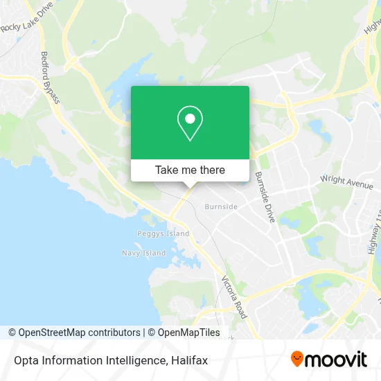 Opta Information Intelligence map