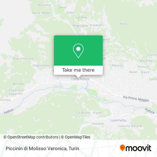 Piccinin di Molisso Veronica map