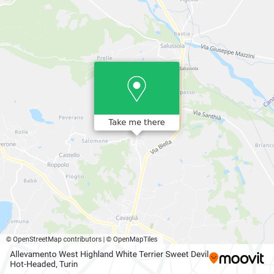 Allevamento West Highland White Terrier Sweet Devil Hot-Headed map