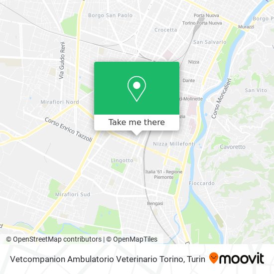 Vetcompanion Ambulatorio Veterinario Torino map