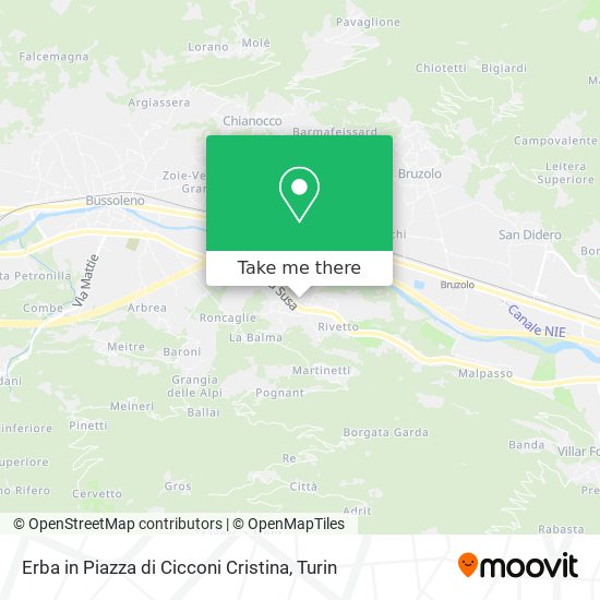 Erba in Piazza di Cicconi Cristina map