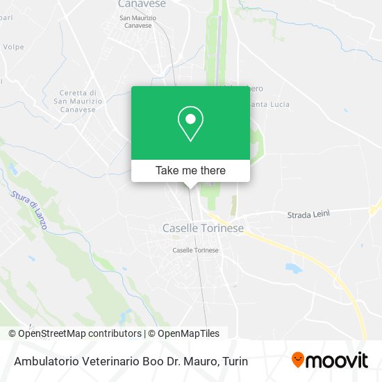Ambulatorio Veterinario Boo Dr. Mauro map
