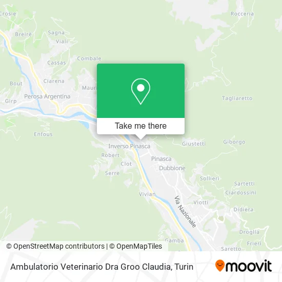 Ambulatorio Veterinario Dra Groo Claudia map