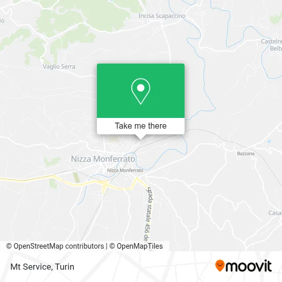 Mt Service map