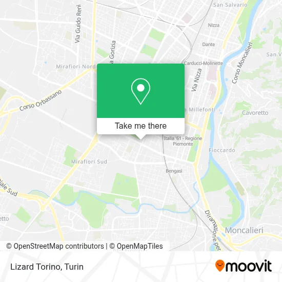 Lizard Torino map