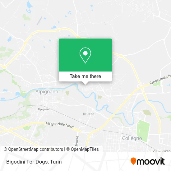 Bigodini For Dogs map