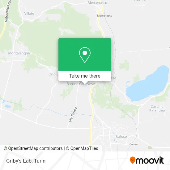 Griby's Lab map