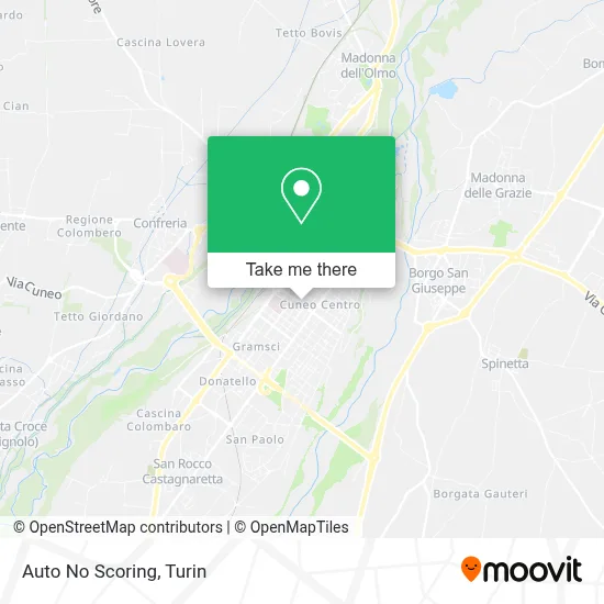 Auto No Scoring map