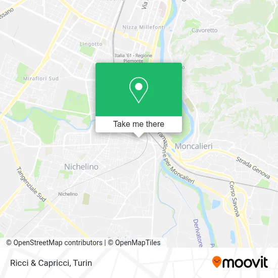 Ricci & Capricci map