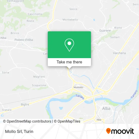 Mollo Srl map