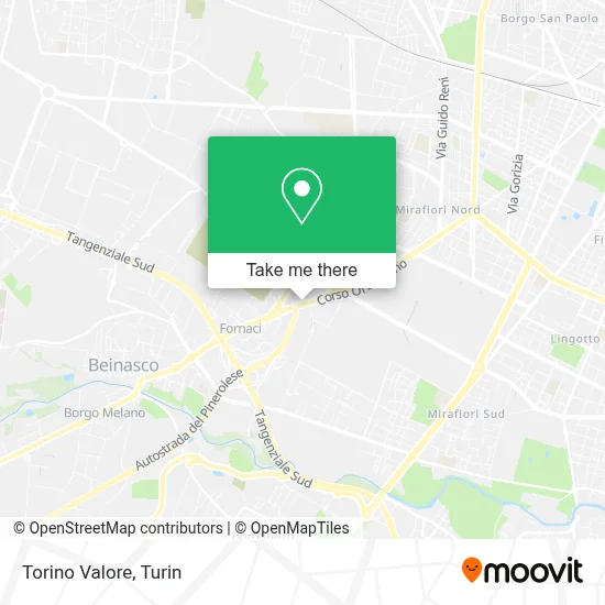 Torino Valore map