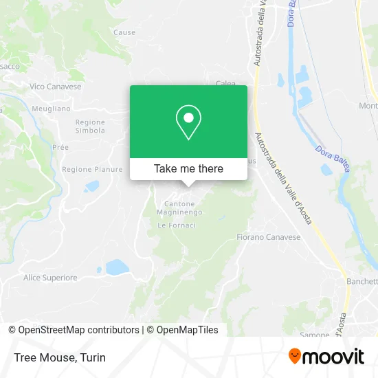 Tree Mouse map