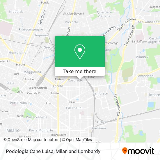 Podologia Cane Luisa map