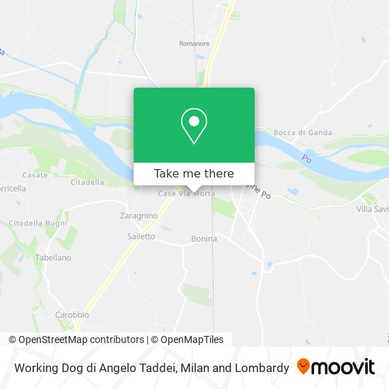 Working Dog di Angelo Taddei map