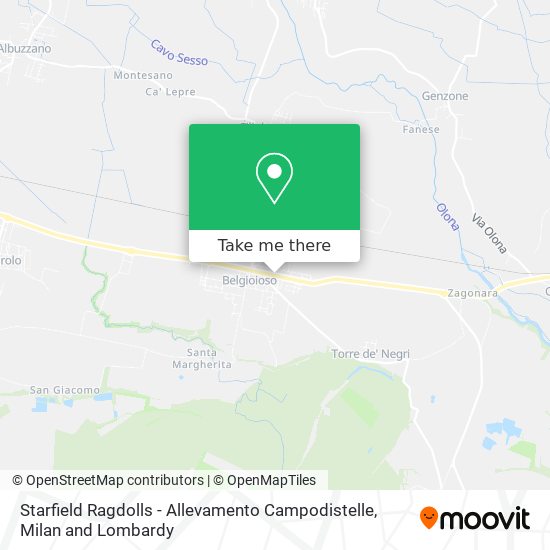 Starfield Ragdolls - Allevamento Campodistelle map