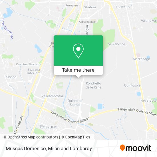 Muscas Domenico map