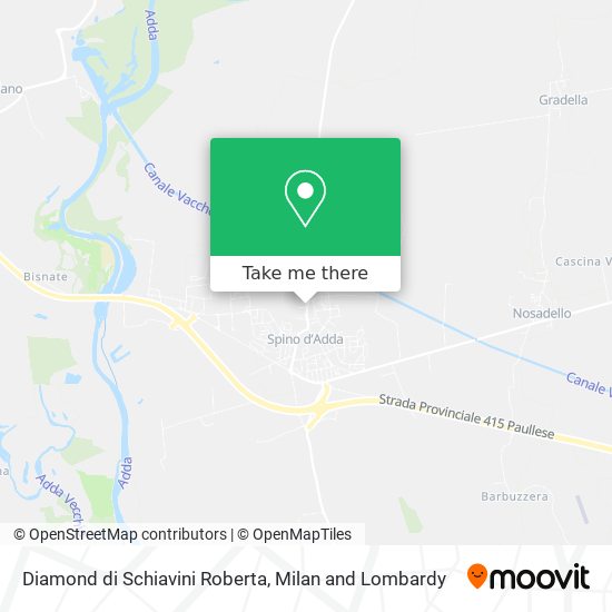 Diamond di Schiavini Roberta map