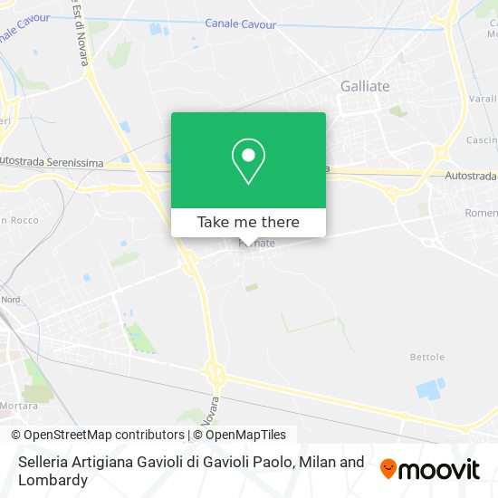 Selleria Artigiana Gavioli di Gavioli Paolo map
