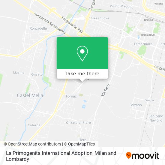 La Primogenita International Adoption map