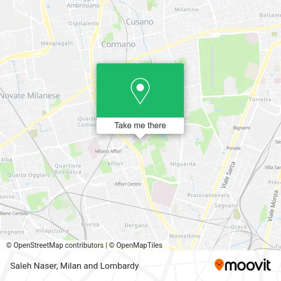 Saleh Naser map