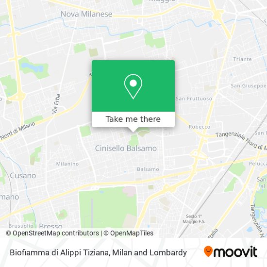 Biofiamma di Alippi Tiziana map