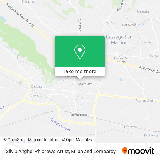 Silviu Anghel Phibrows Artist map