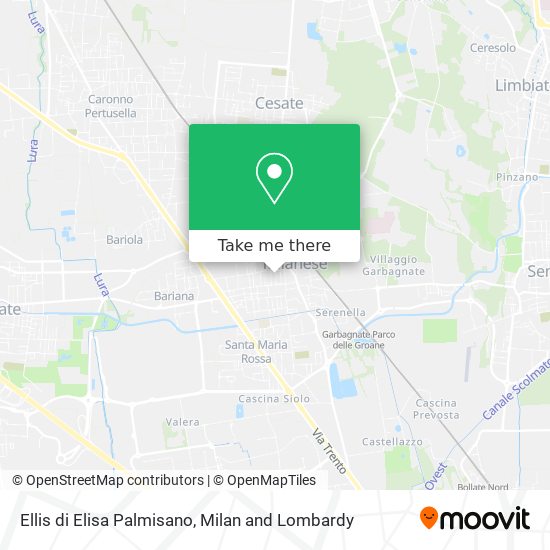 Ellis di Elisa Palmisano map