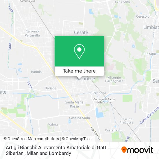 Artigli Bianchi: Allevamento Amatoriale di Gatti Siberiani map