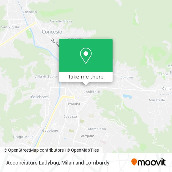 Acconciature Ladybug map
