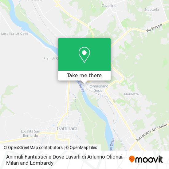 Animali Fantastici e Dove Lavarli di Arlunno Olionai map