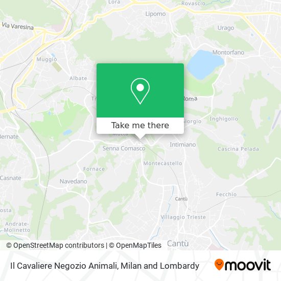 Il Cavaliere Negozio Animali map