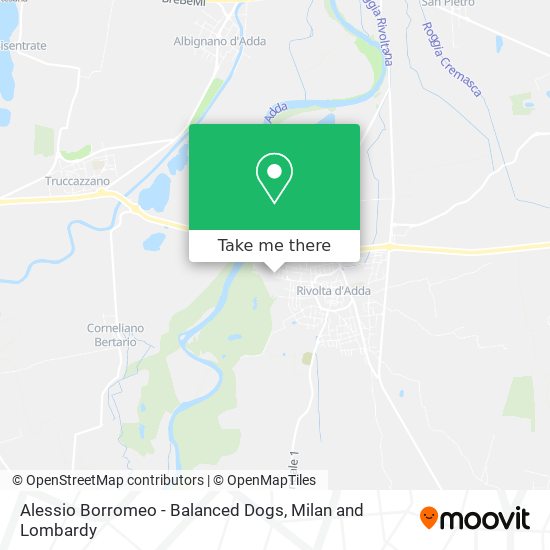 Alessio Borromeo - Balanced Dogs map